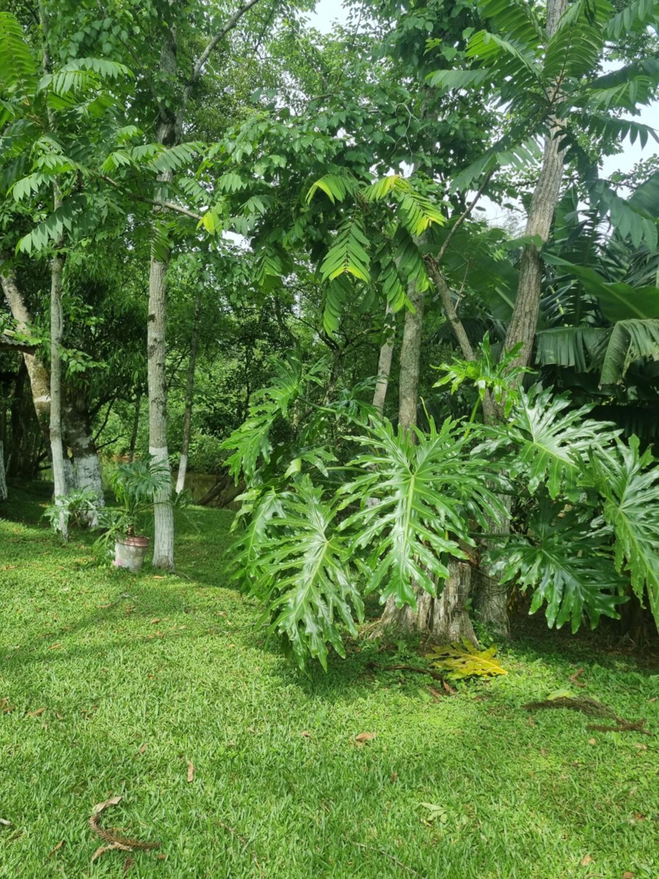 Hotel, Pousada e camping Recanto Nativo Caibi
