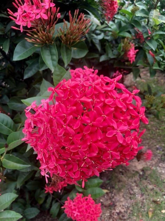 Photo 40