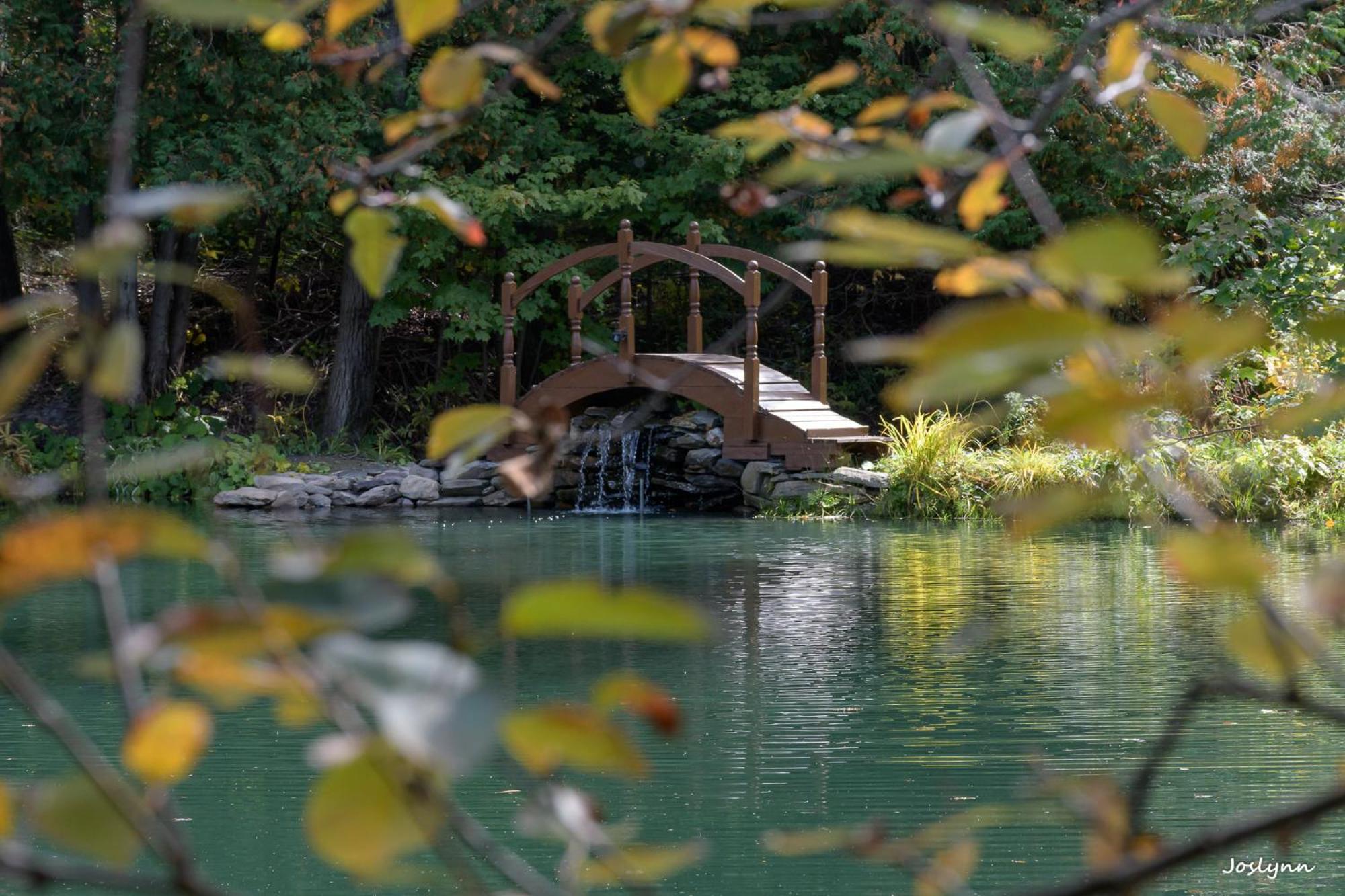 Le Domaine de l'Étang view 5