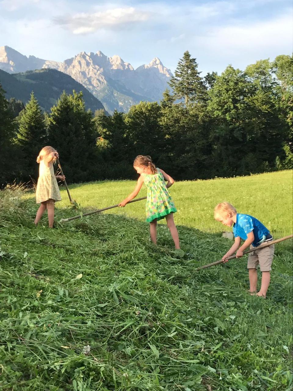 Ferienbauernhof Stallhäusl