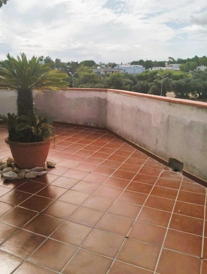 VERANDA SUL MARE 68_APARTMENT view 5