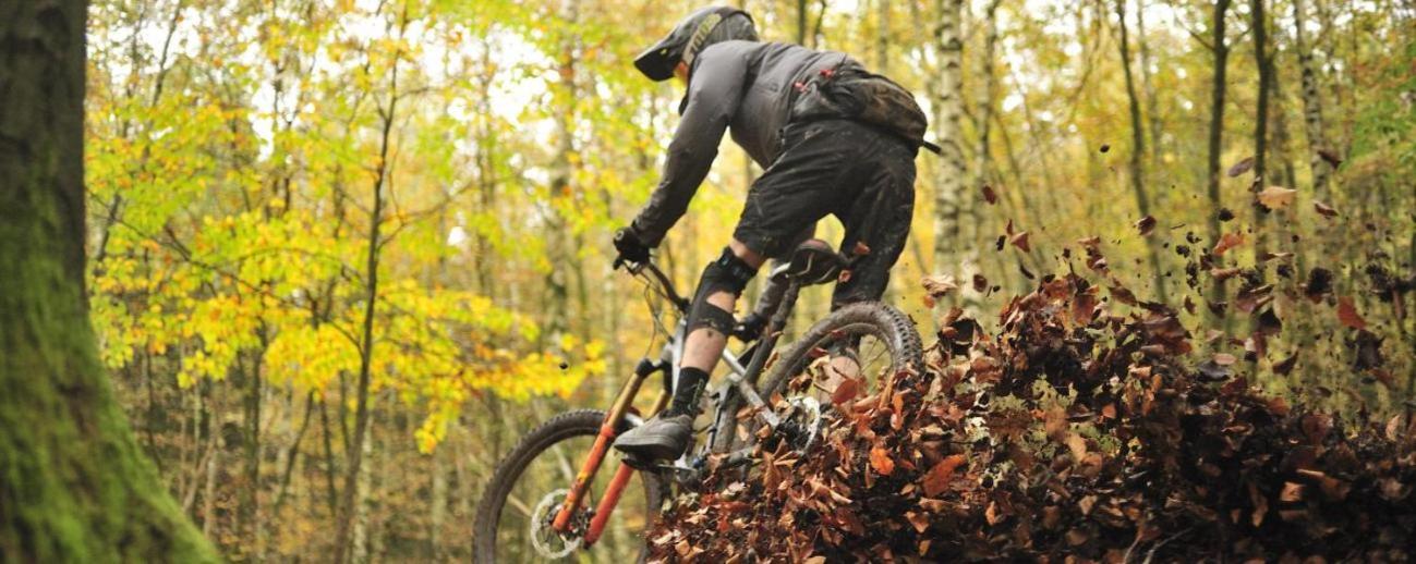 A Wood Lodge - zwembad - relax - natuur