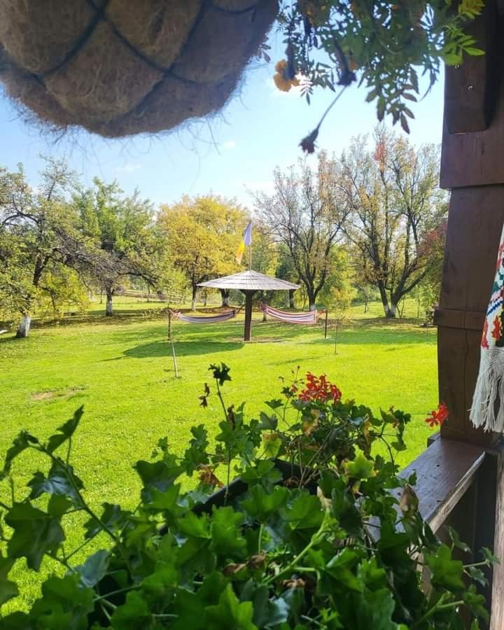 Agropensiunea Pe Poderei view 3