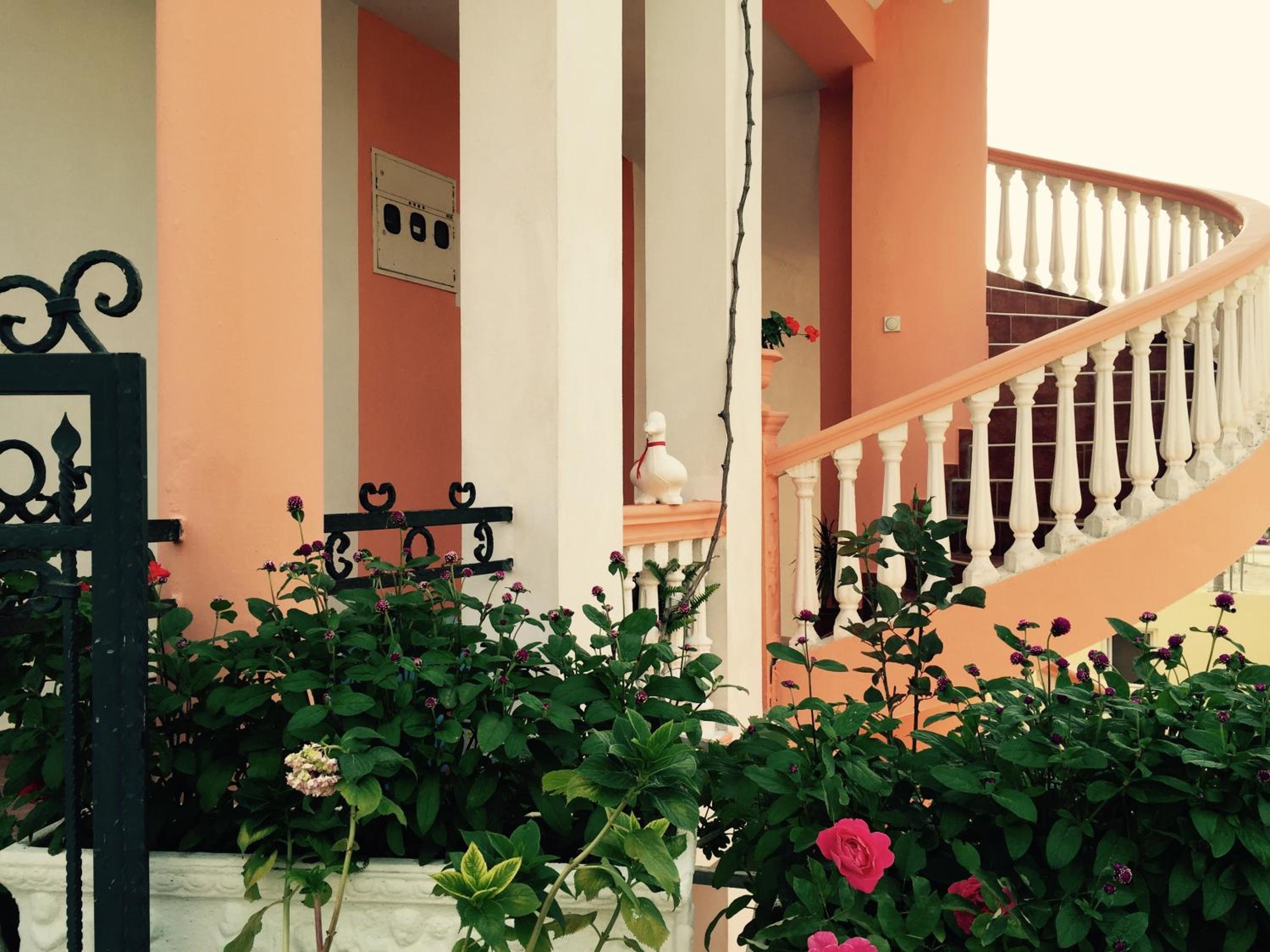 Apartments Delfin