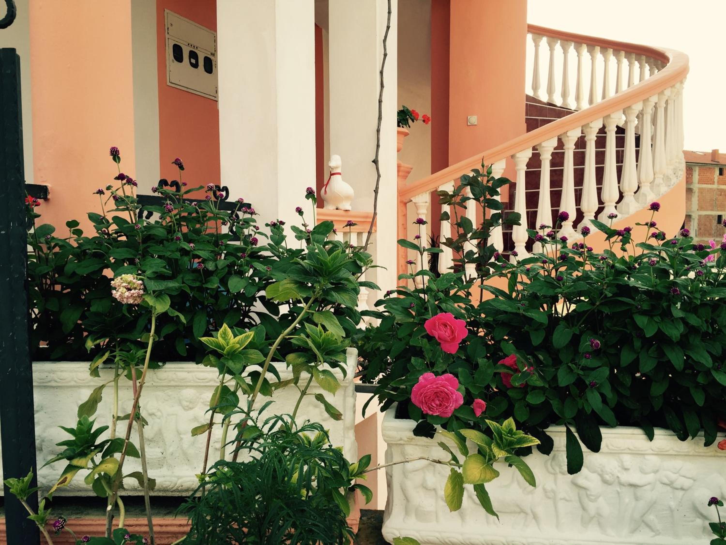 Apartments Delfin