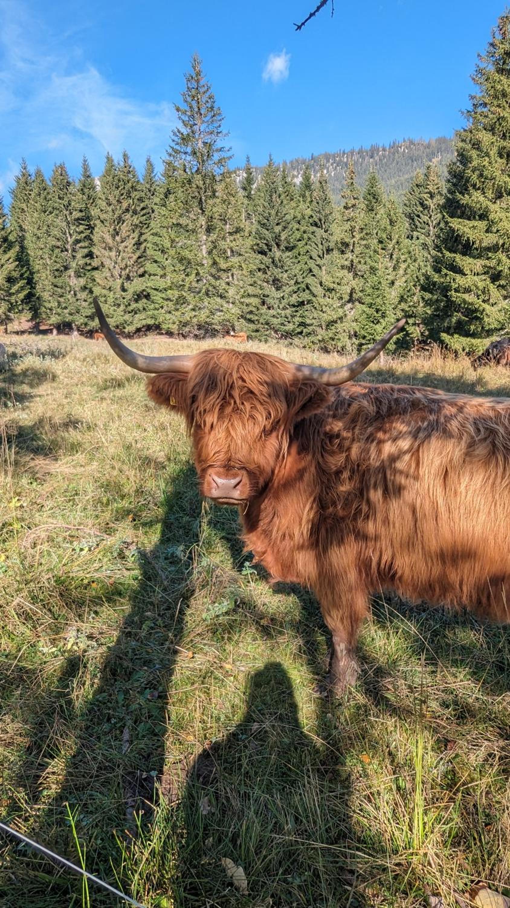 Alpenchalet im Steirischen Salzkammergut
