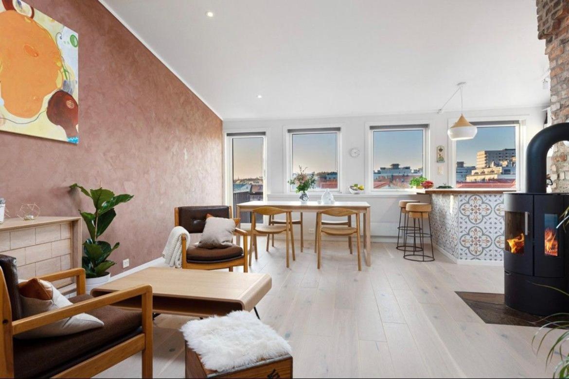 Penthouse in Oslo's hippest district Grünerløkka view 2