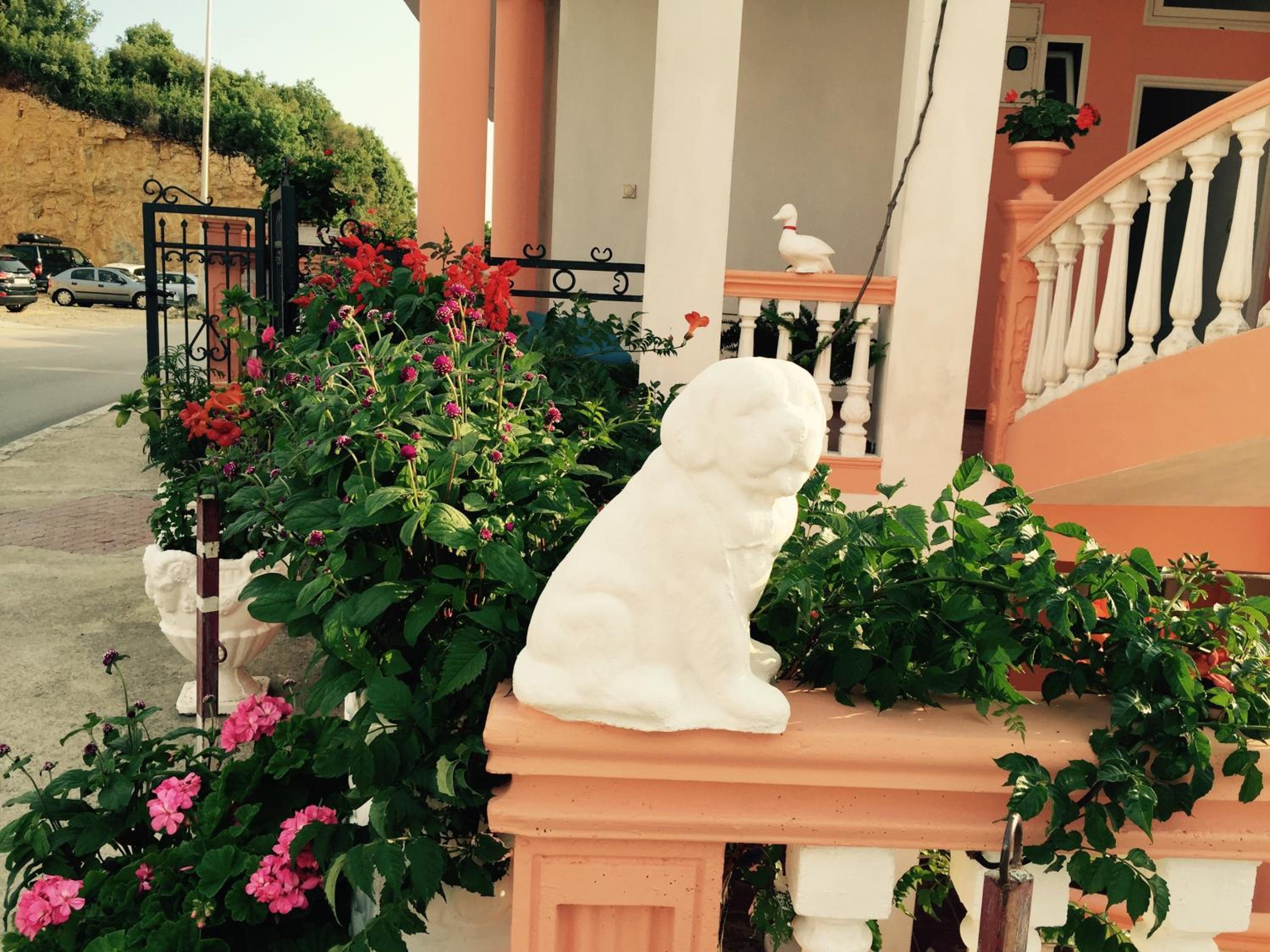 Apartments Delfin
