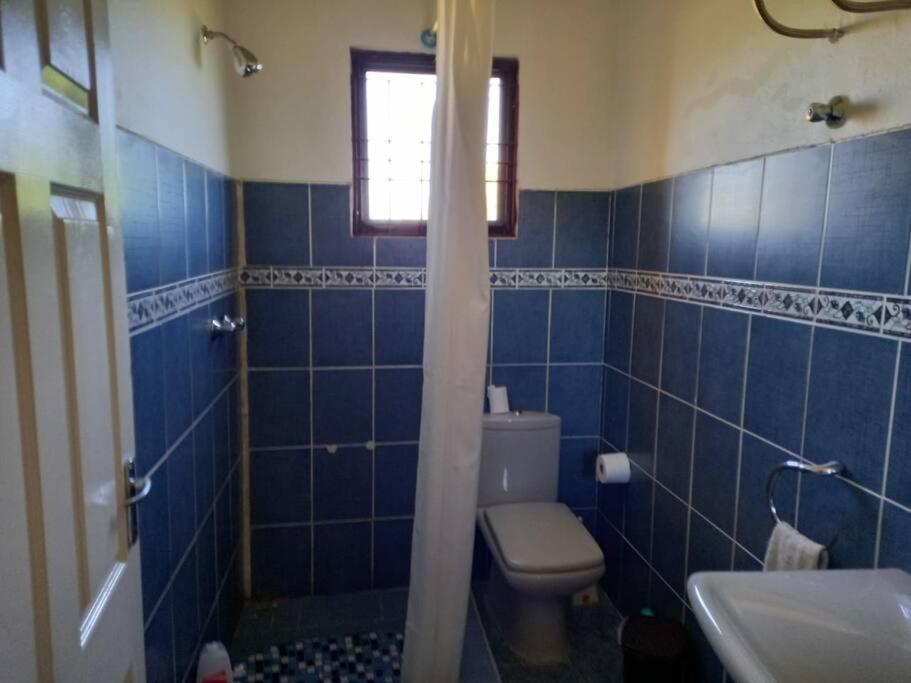 Private beach house BILENE. 3 rooms / 6 people view 5