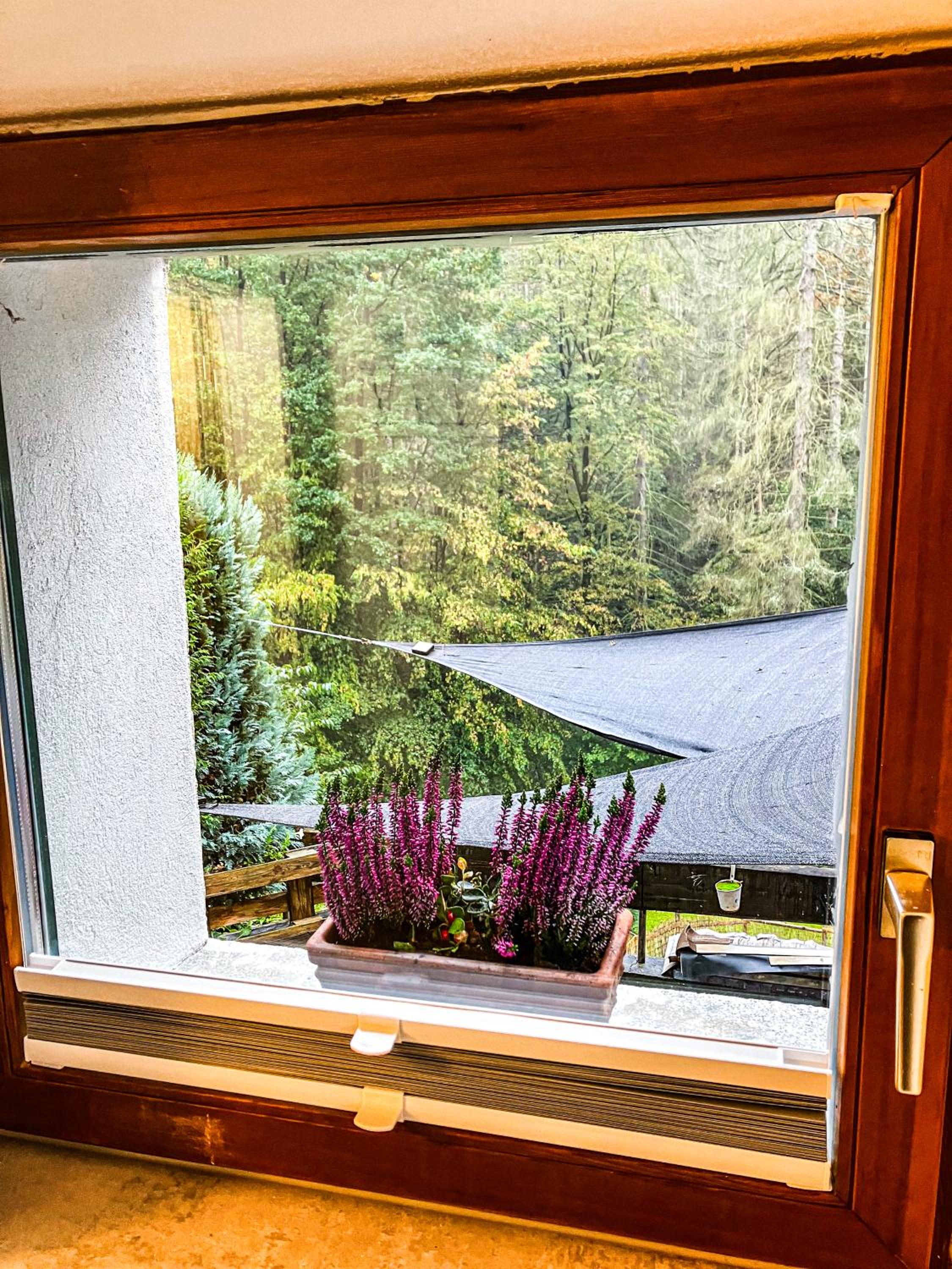 LIETHE 13 - Ferienhaus am Malerweg