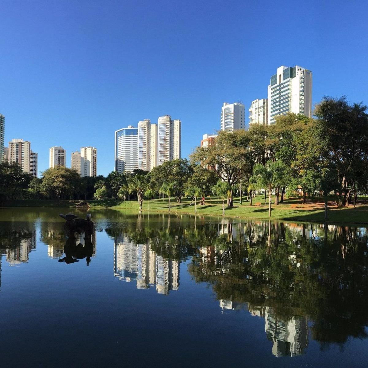 Unique Residence, close to Park and Shopping Flamboyant