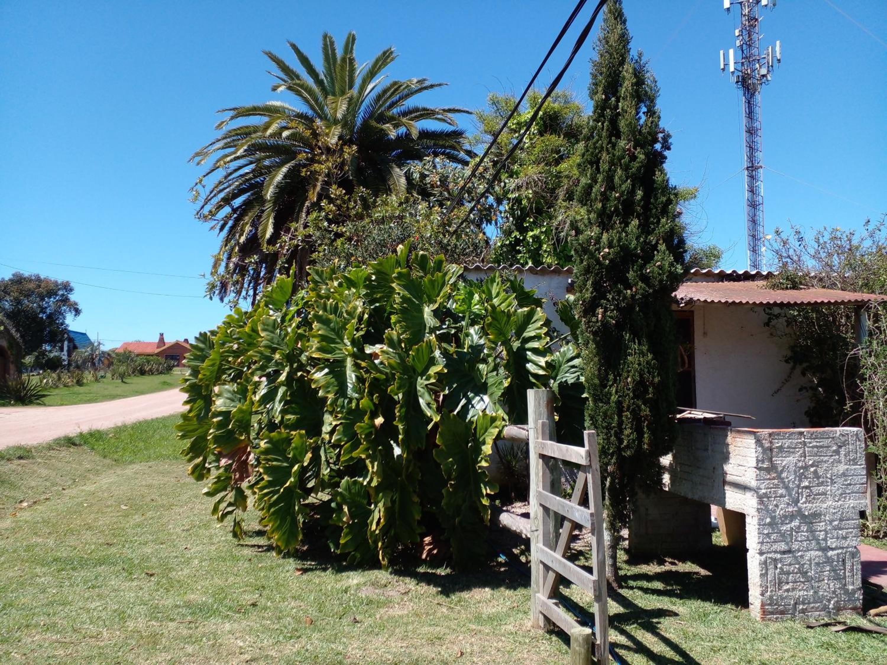 Photo 25