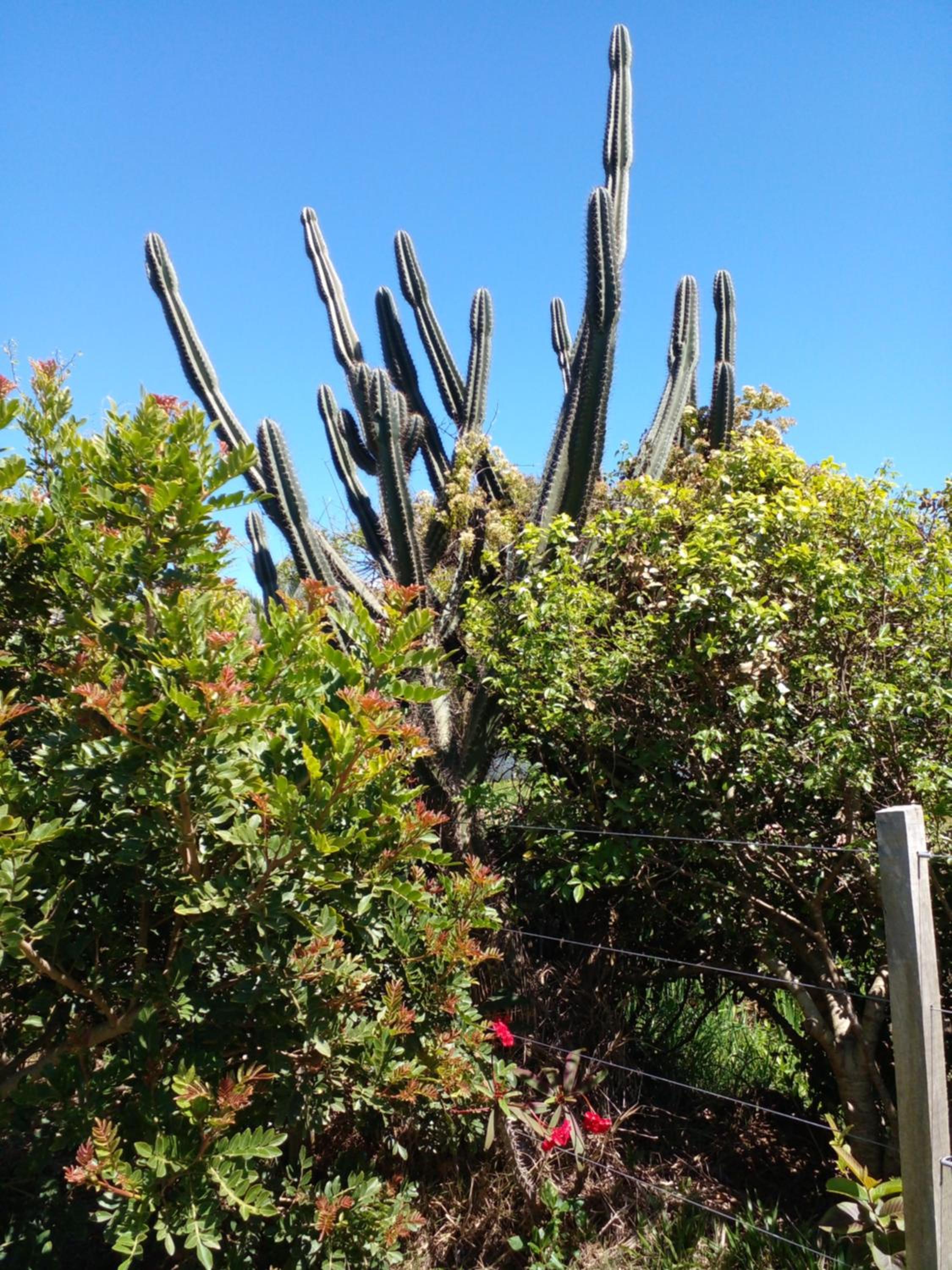 Photo 24