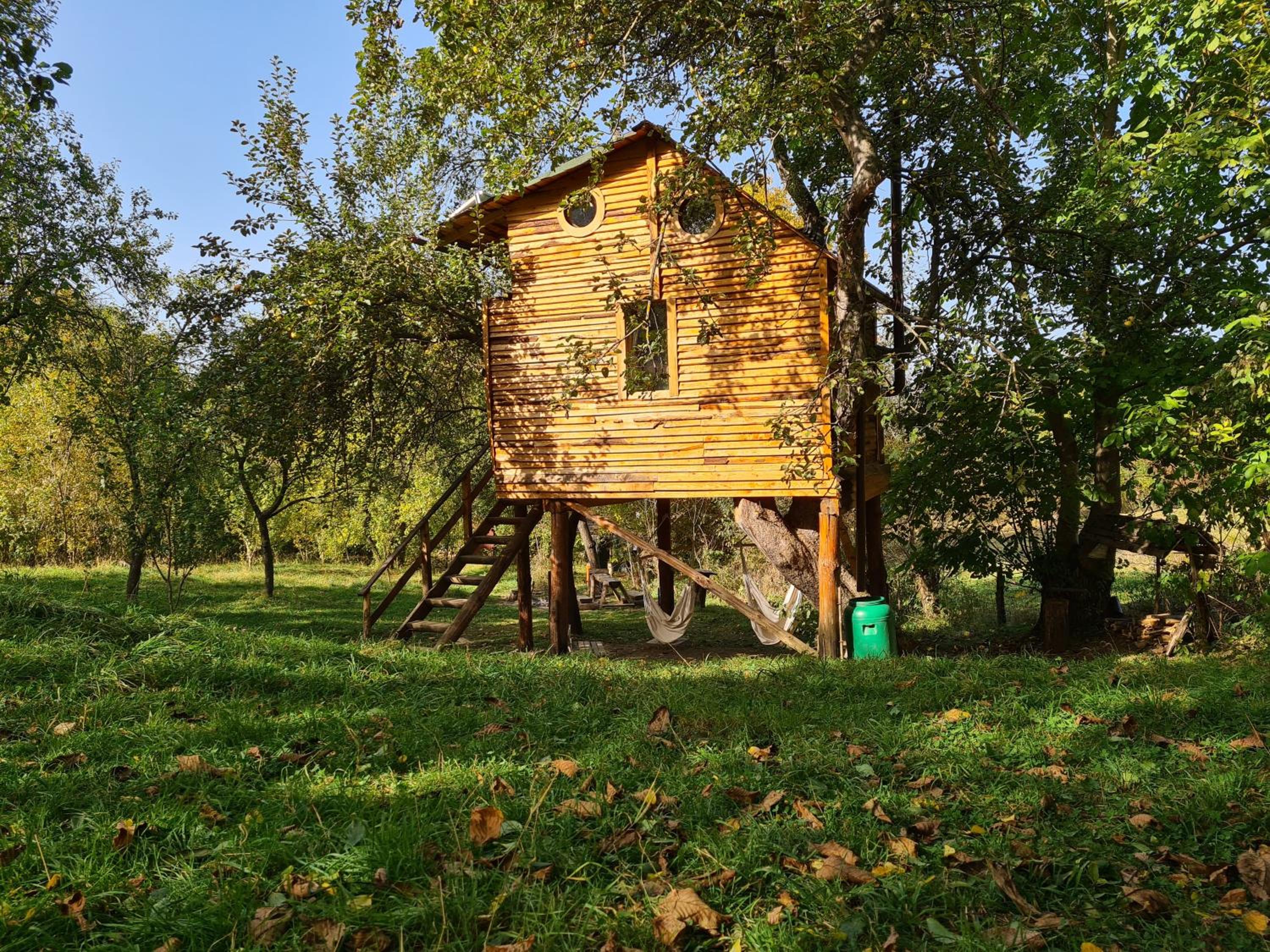 Photo 27