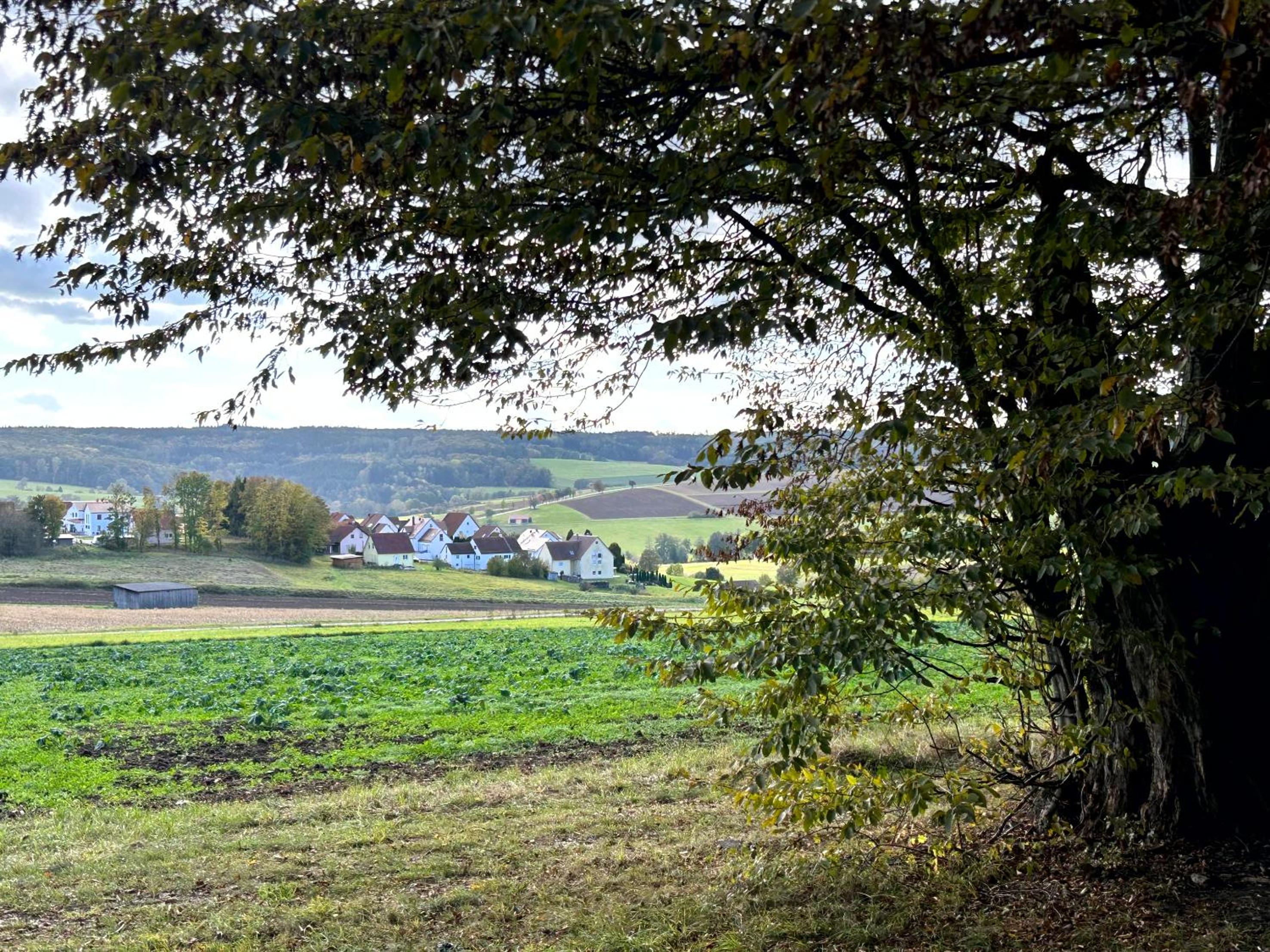 Ferienwohnung im Usseltal - Zirben Spa - Monheimer Alb - Altmühltal - Familie Geyer Daiting