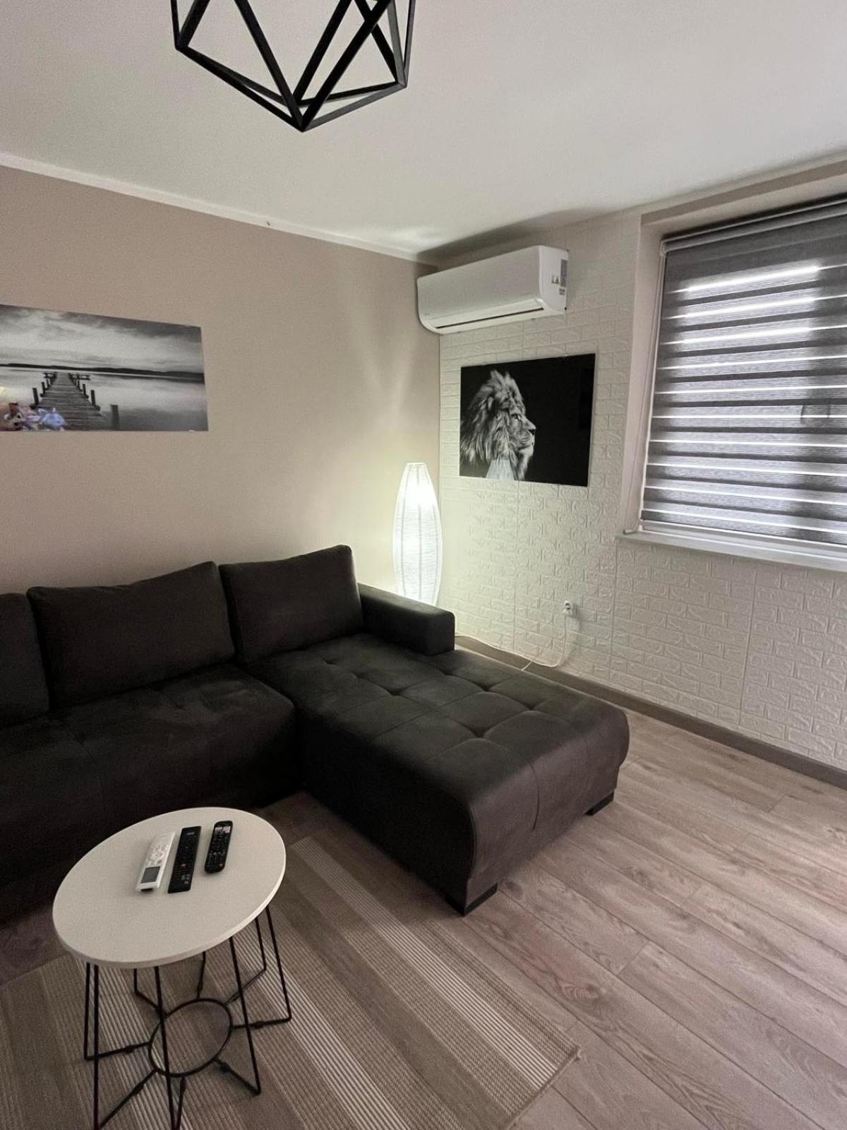Apartman Petrov view 4