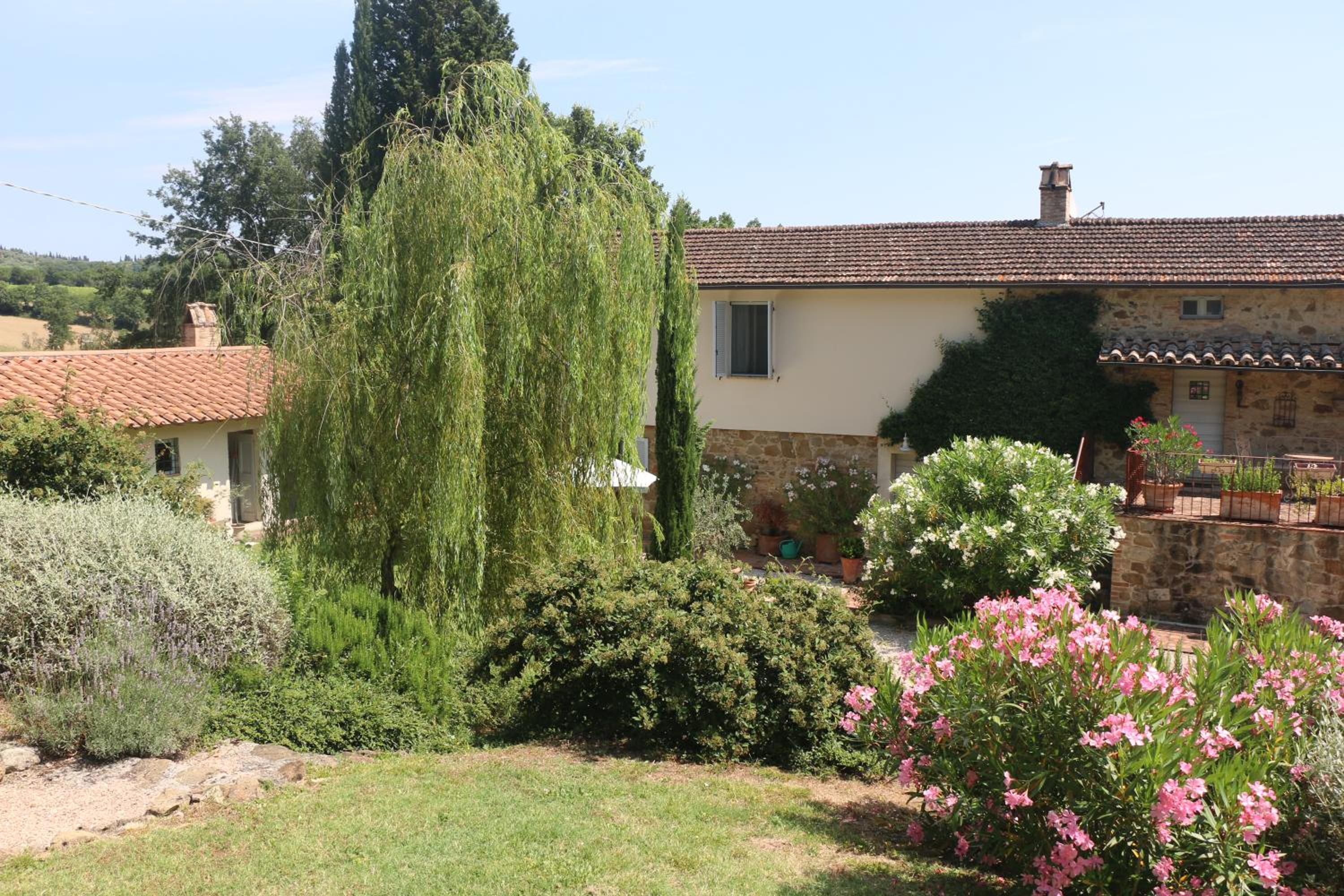 Photo 40