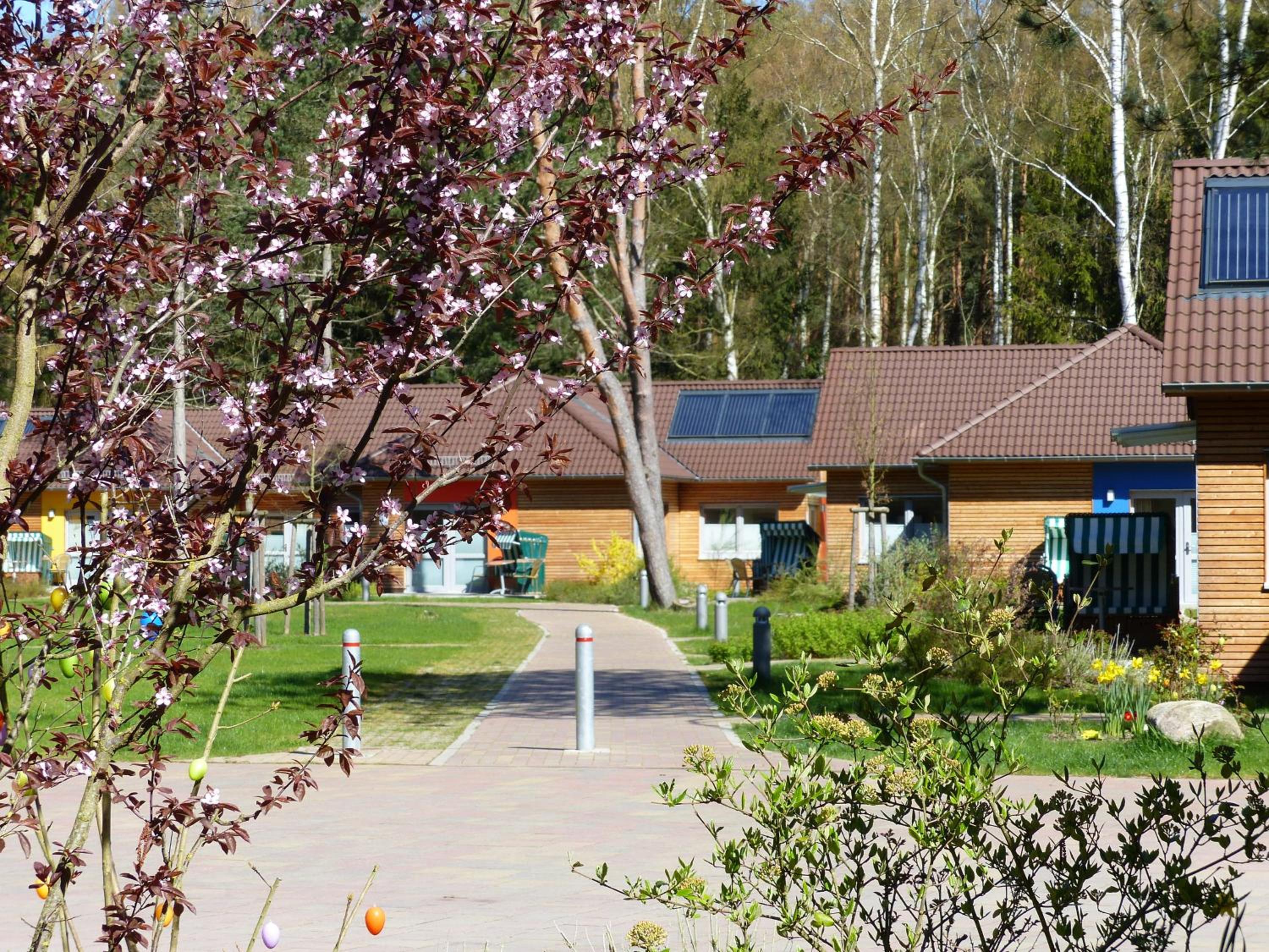 Ferienzentrum Trassenmoor