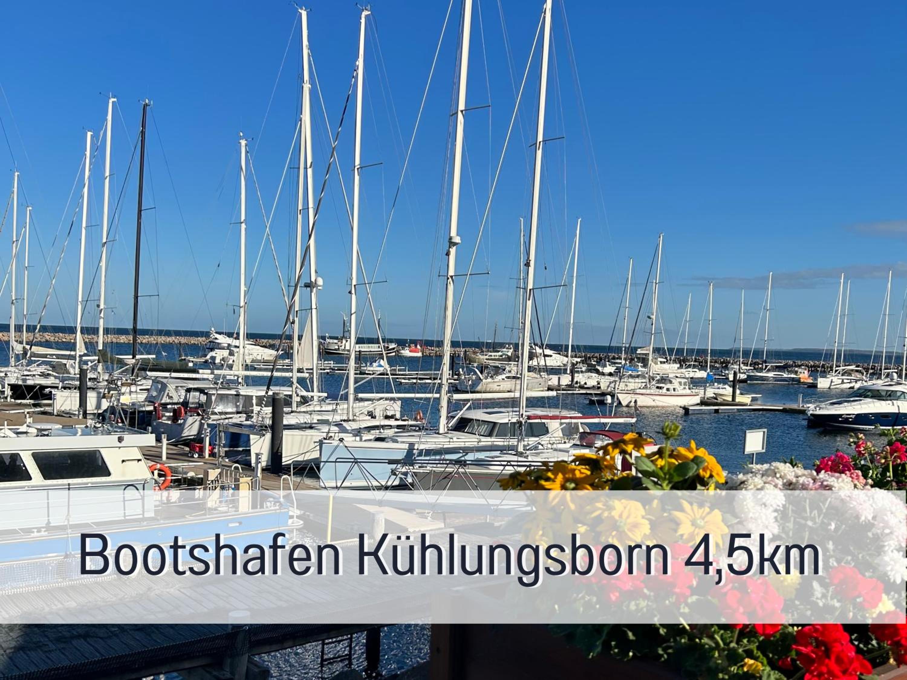 2 Zimmer App Dünengarten Lieblingsplatz Wg11