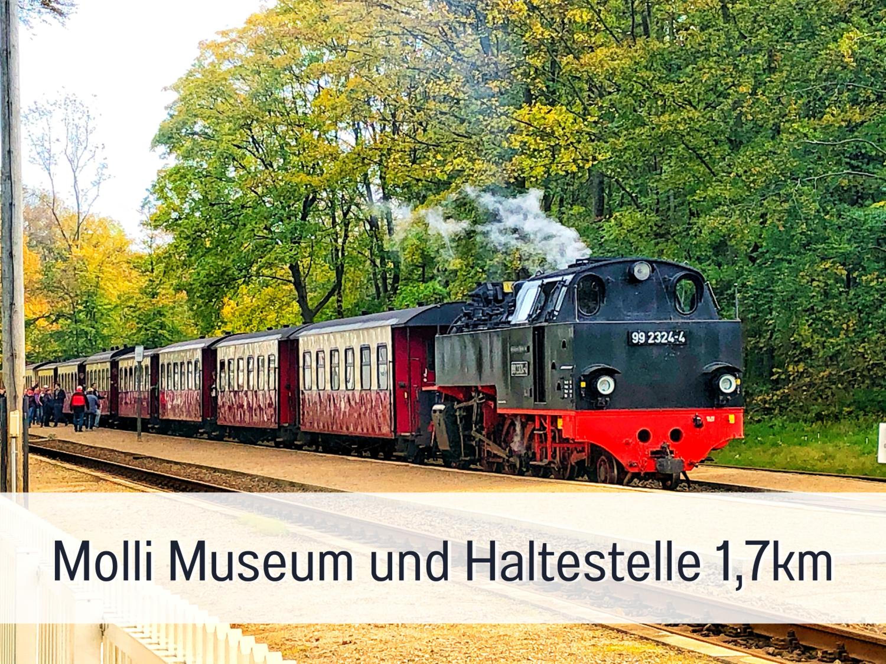 2 Zimmer App Dünengarten Lieblingsplatz Wg11