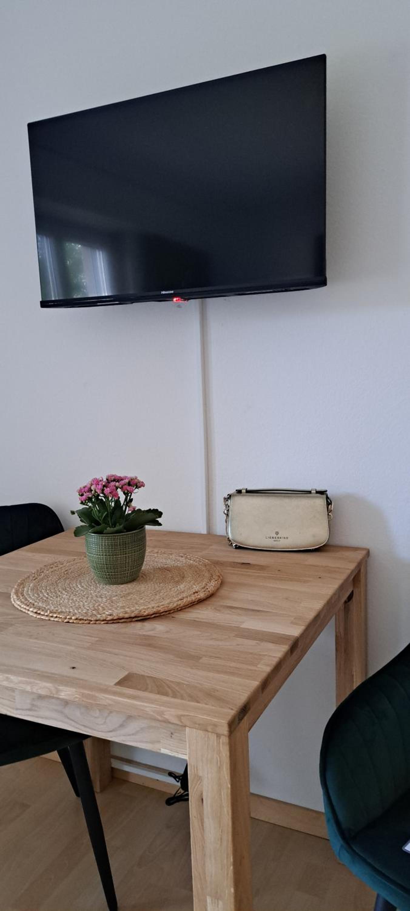 Grünes 1-Zimmer-Appartement