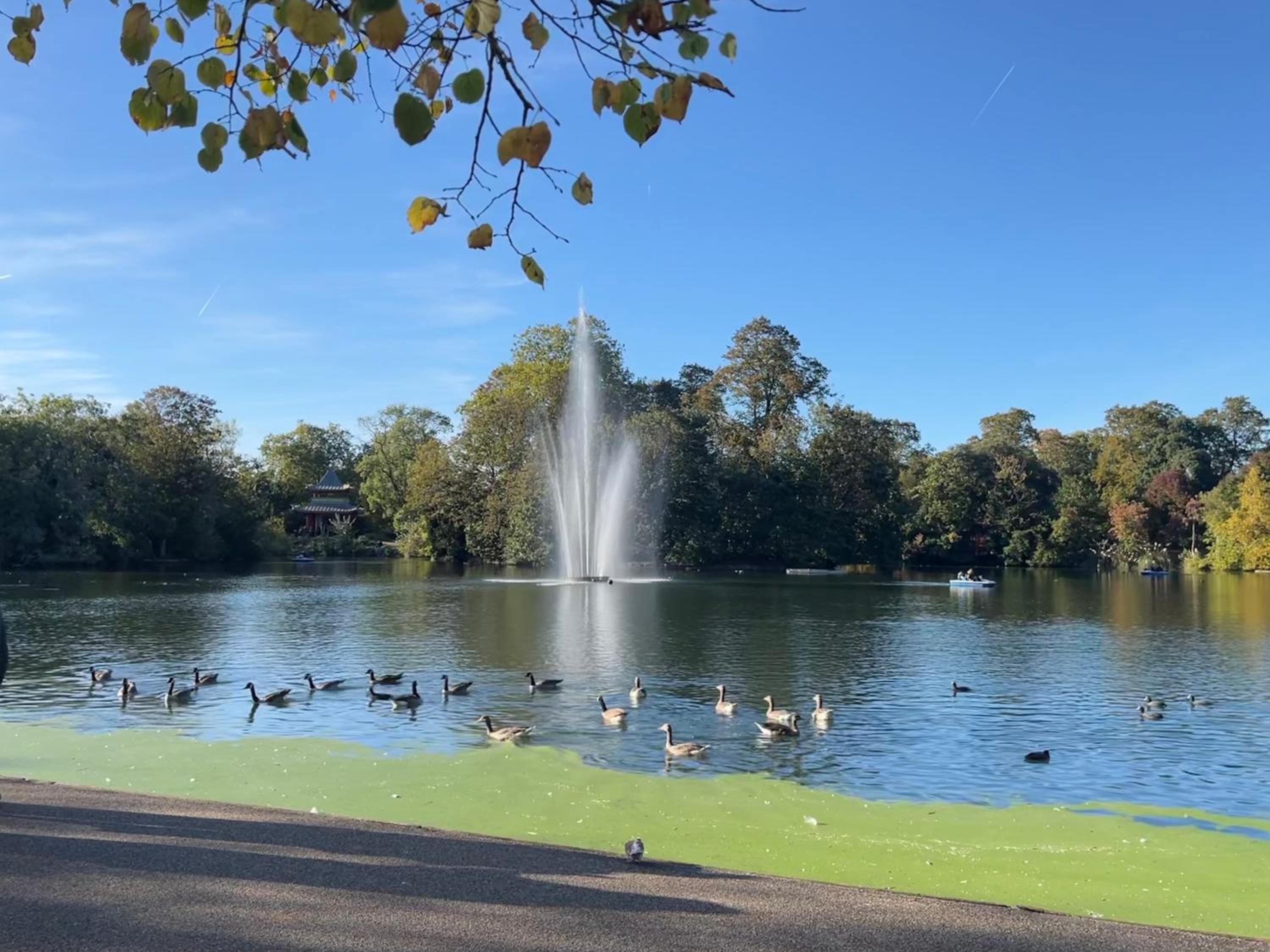Spacious modern 1-bed apartment near Victoria Park & London Stadium