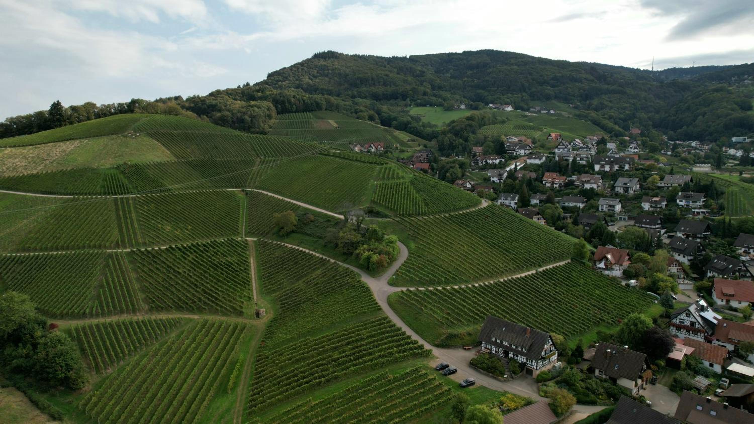 Renatas Ferienwohnung Sasbachwalden
