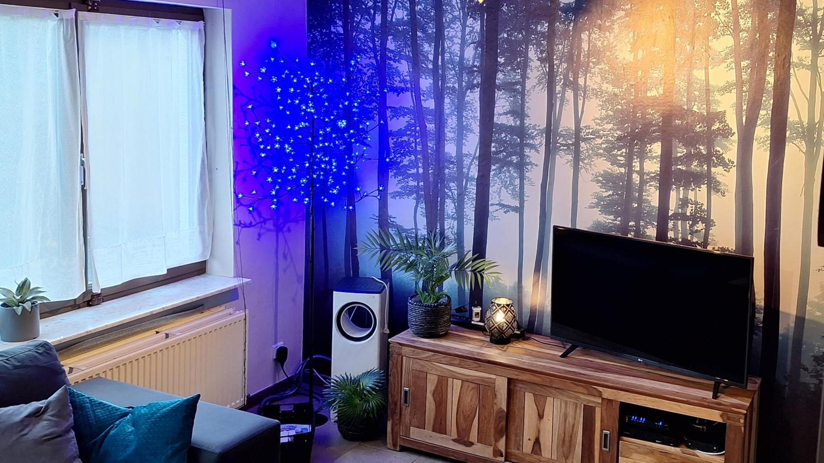 WesterOurthe 6 personen Sauna