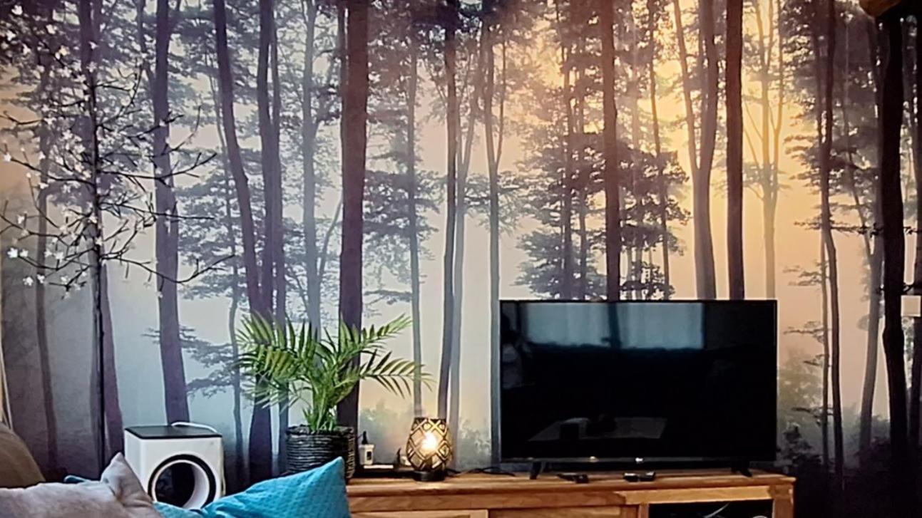 WesterOurthe 6 personen Sauna