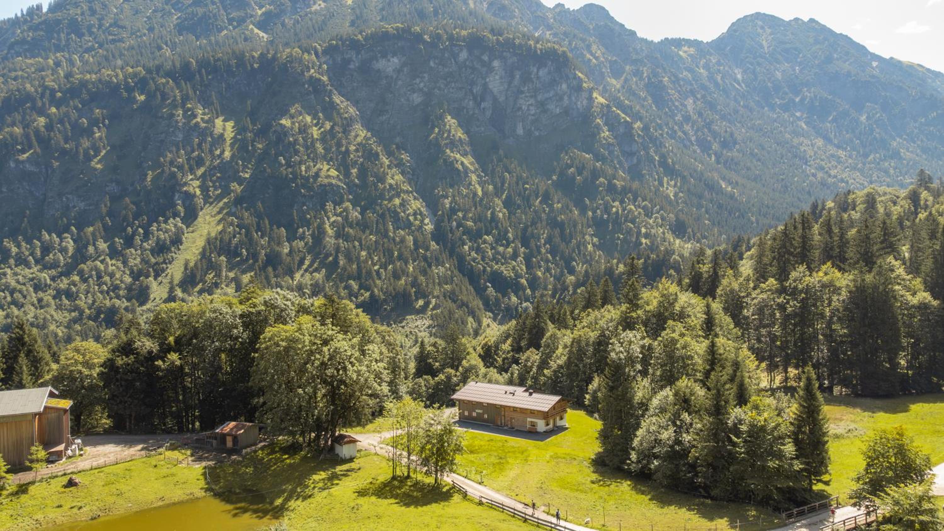 Waldgut
