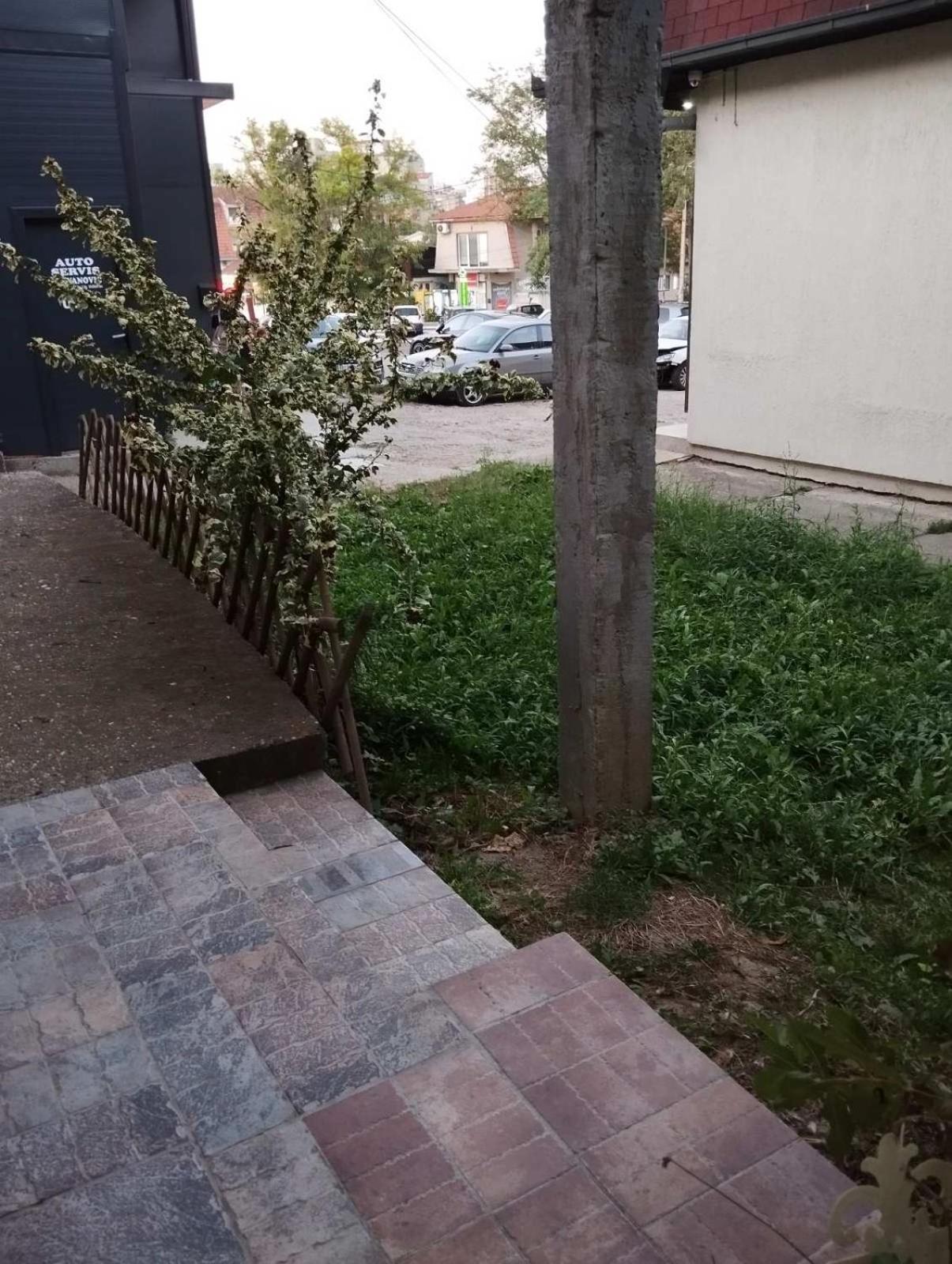 Photo 9