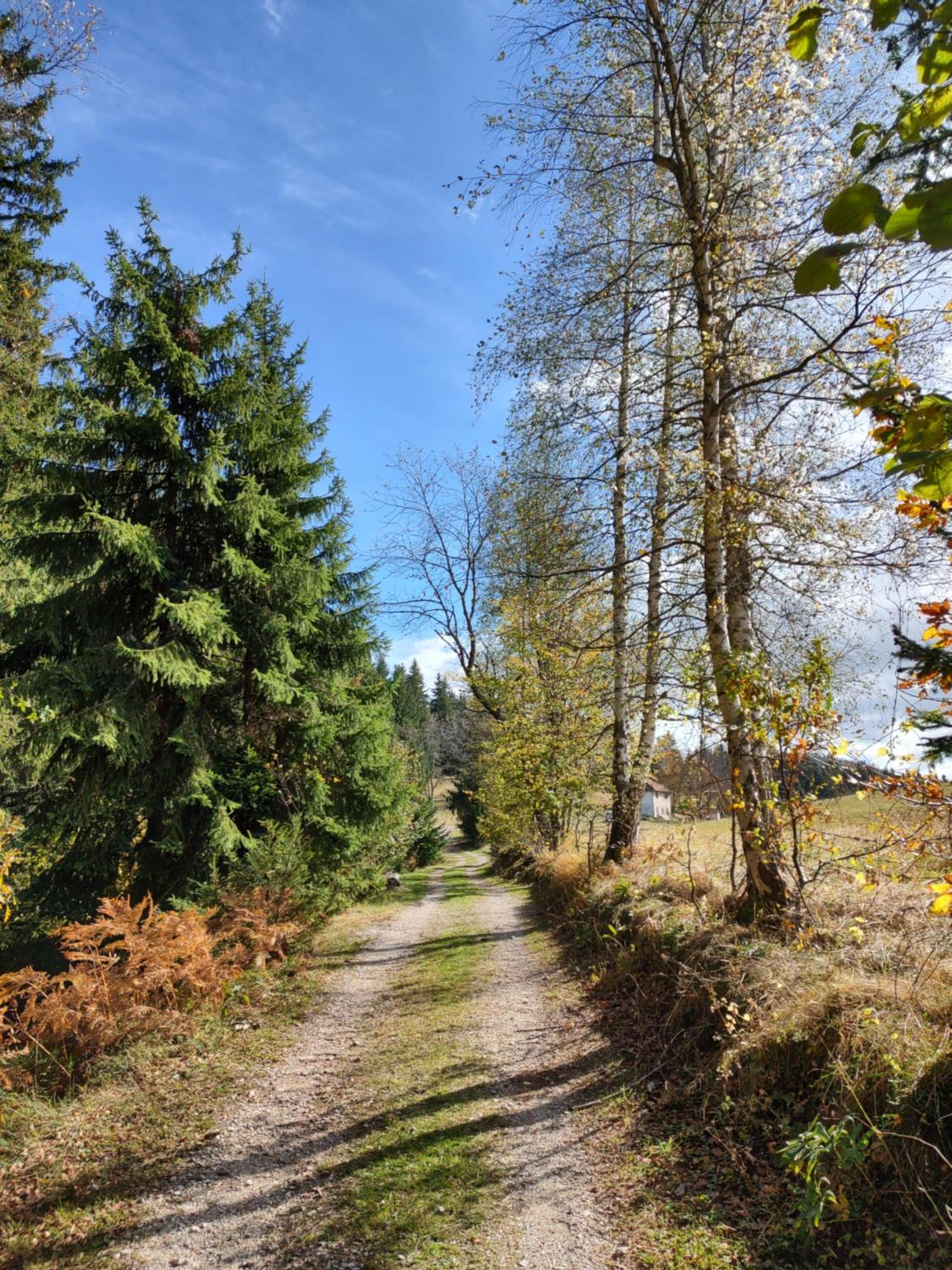 Photo 29
