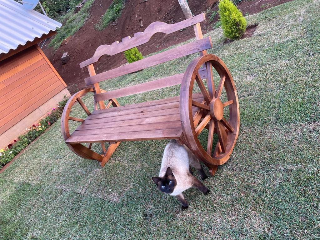 Pousada Recanto das Cachoeiras