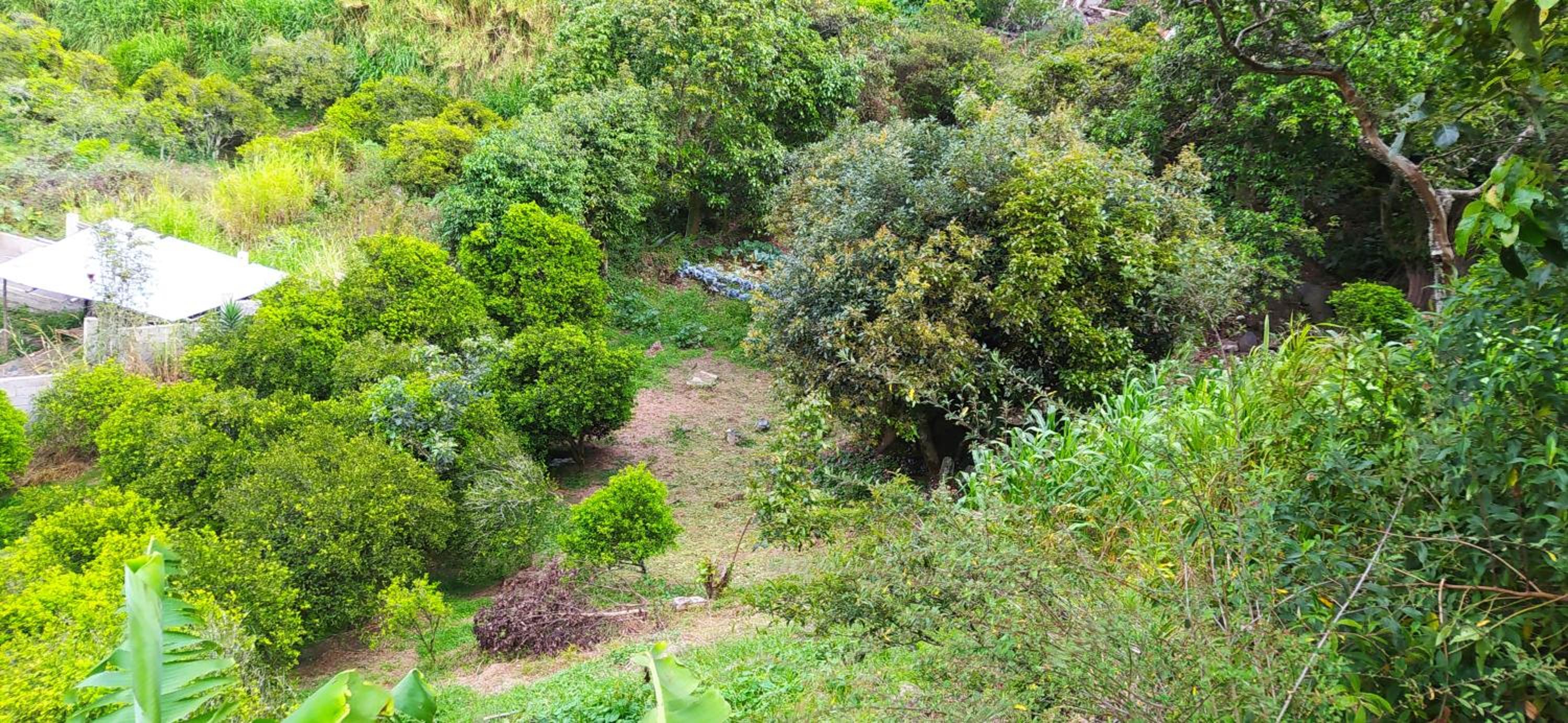 Casa El Guayacan