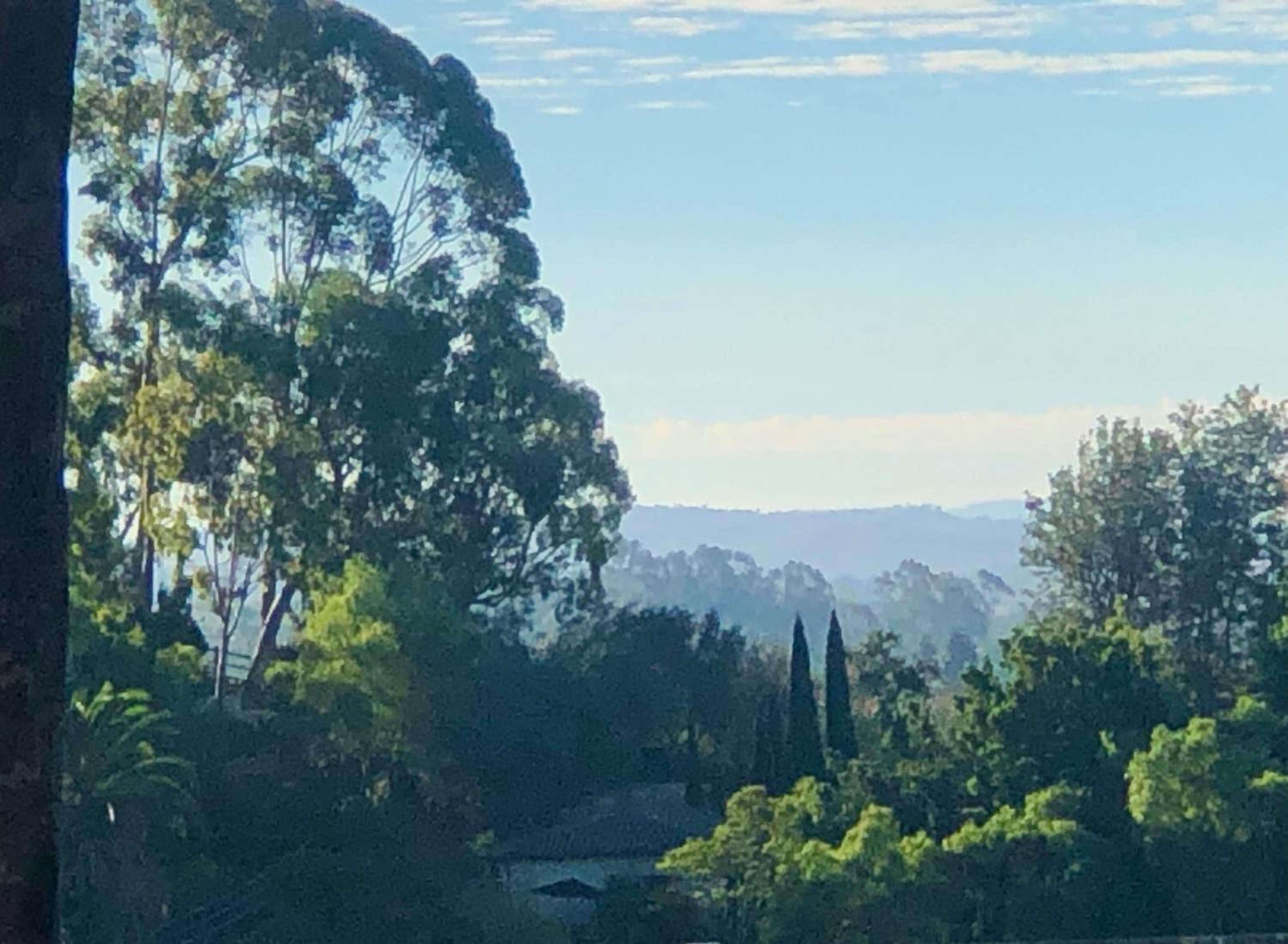 Celebrity Dream Estate view 4