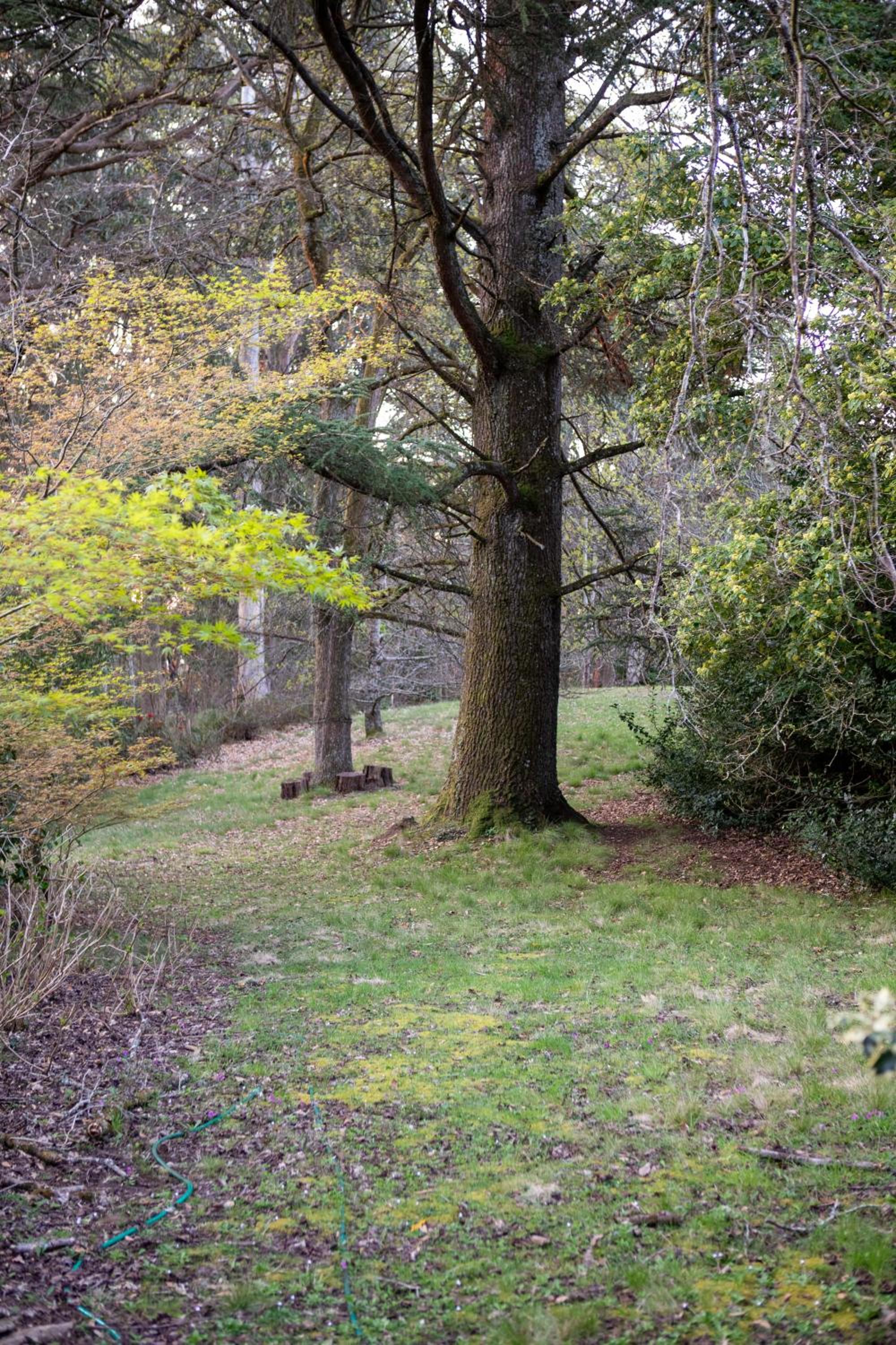 Ard Choille Cottages