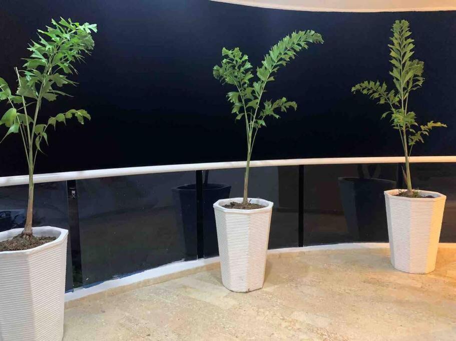 Apartamento vista mar Cart. Morros - La Boquilla