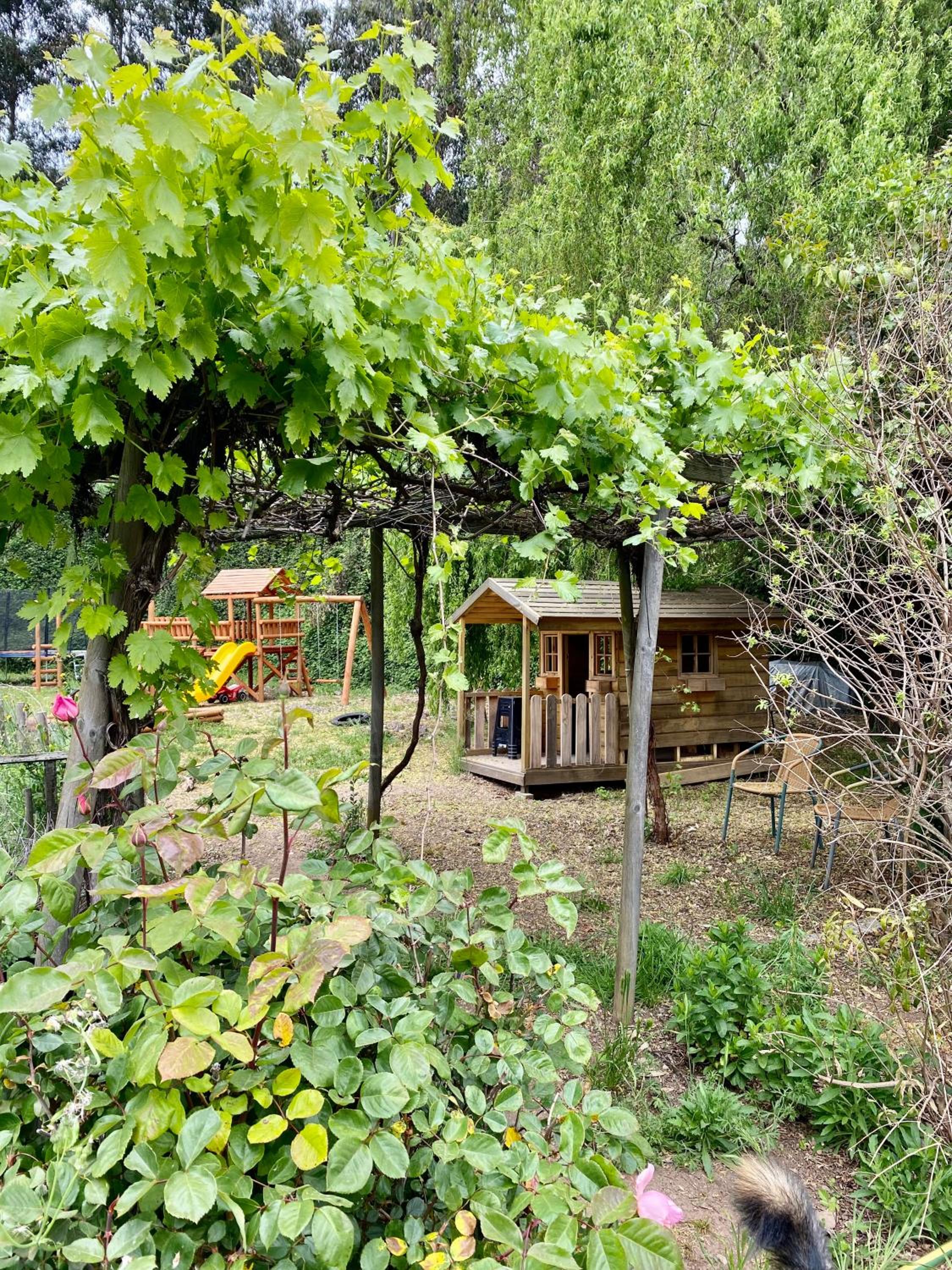 Casa en entorno natural