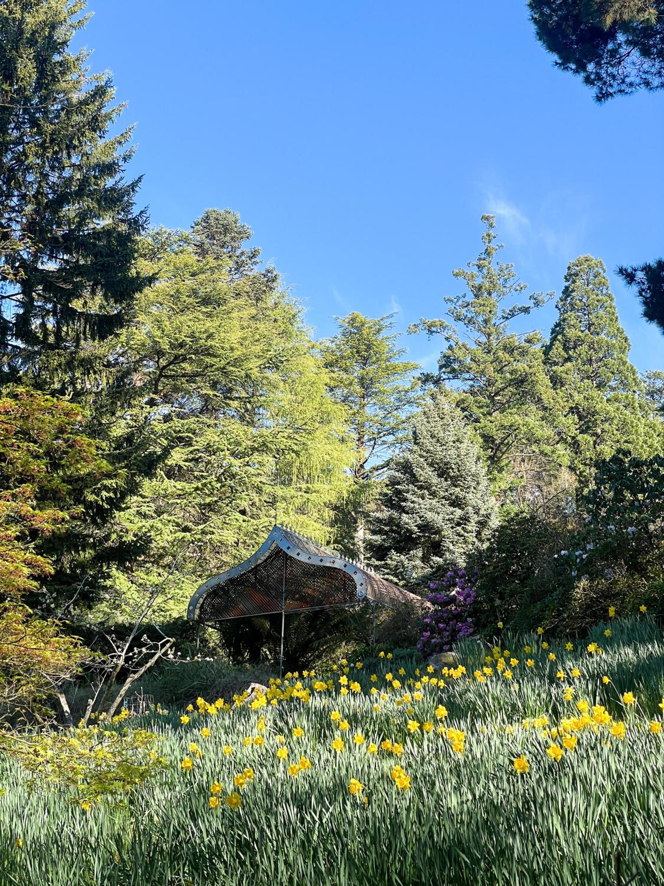 Ard Choille Cottages