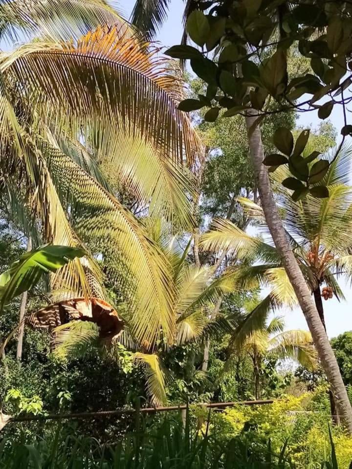 Nirwana Resort