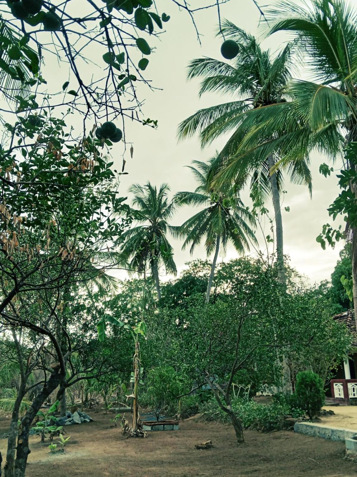 Nirwana Resort