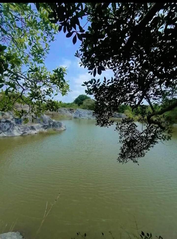Nirwana Resort