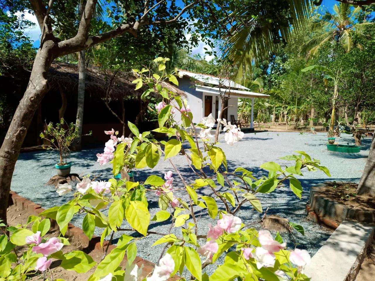 Nirwana Resort
