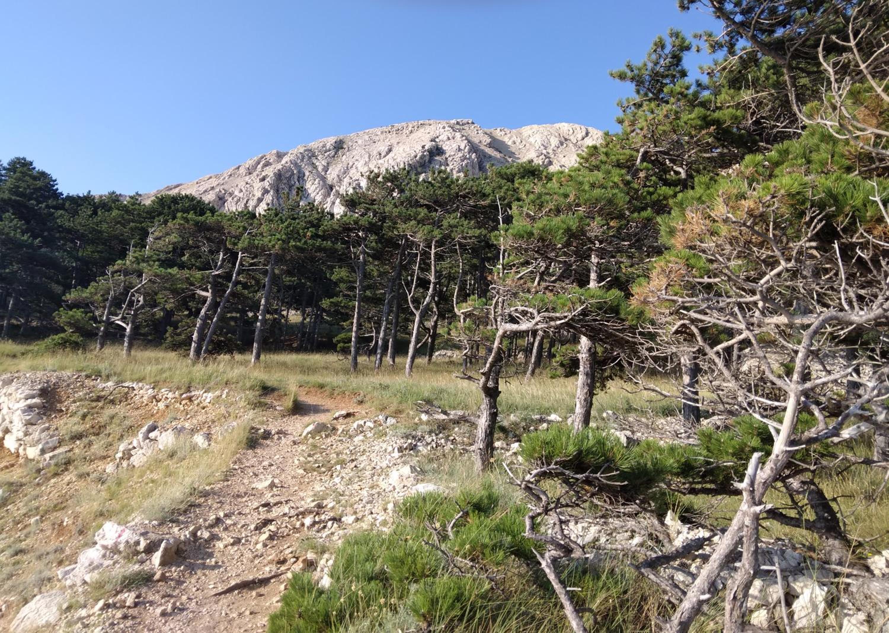 Apartmani BAŠKA