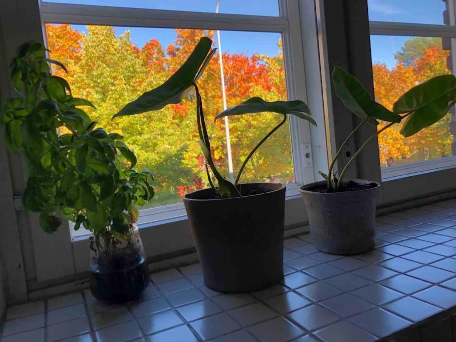 Toukola Helsinki 60 m2 apartment. Mi Casa tu Casa, photo 13
