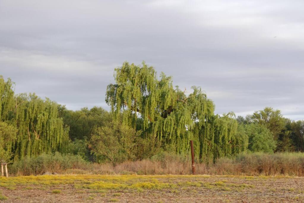 Tarentaal