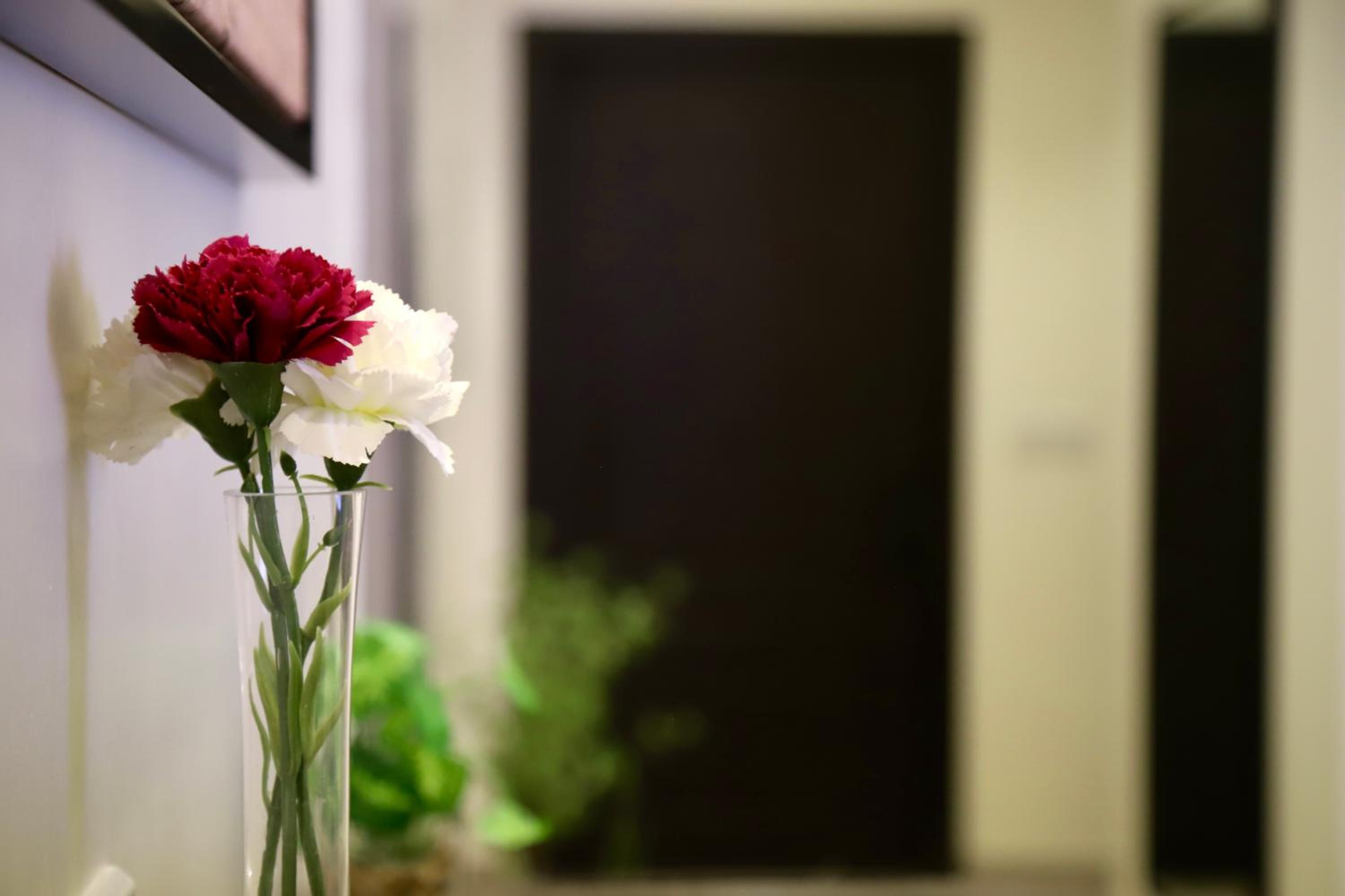 Zaan Apartment Al-Nafel