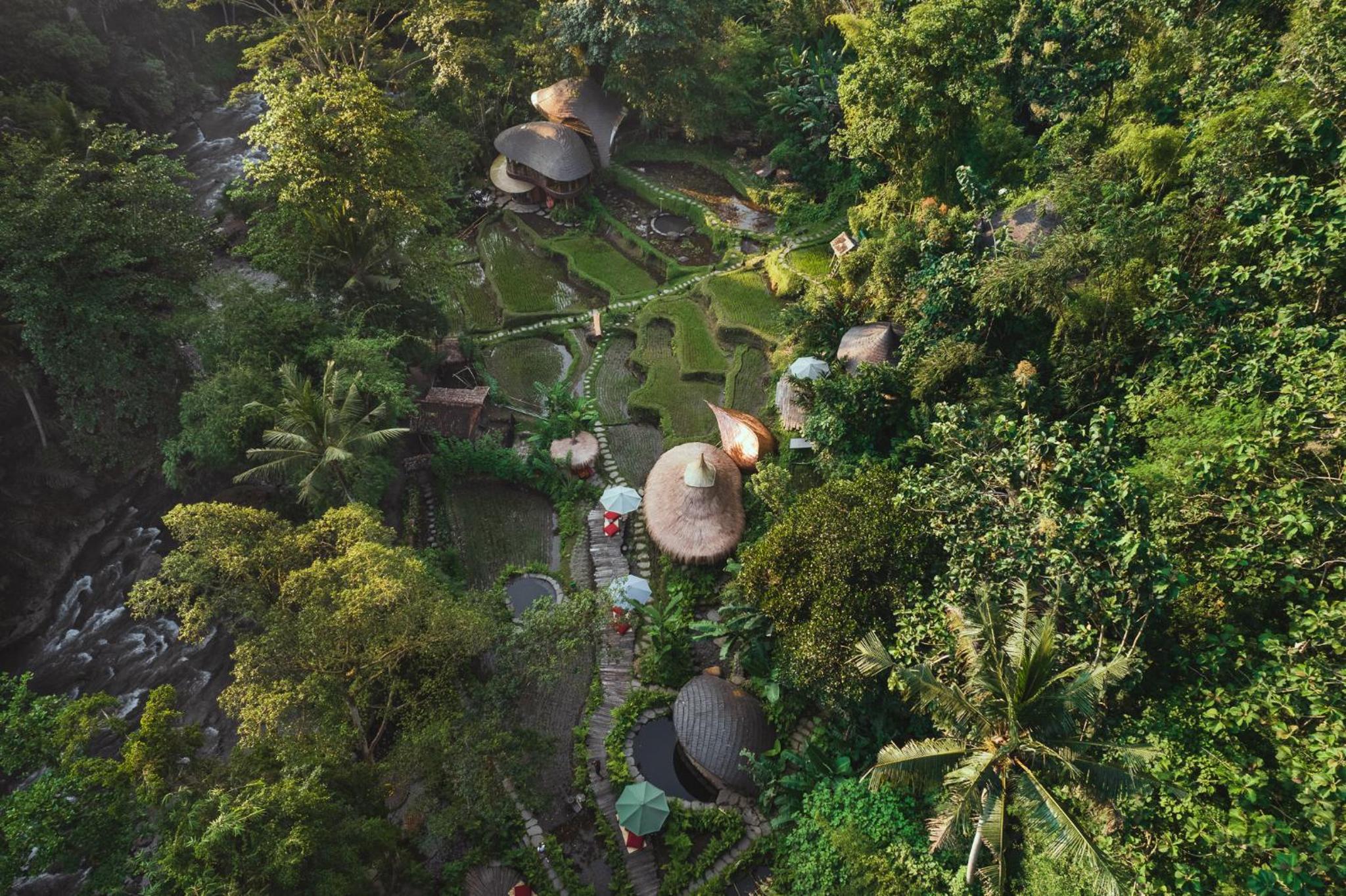 Bambu Indah 7