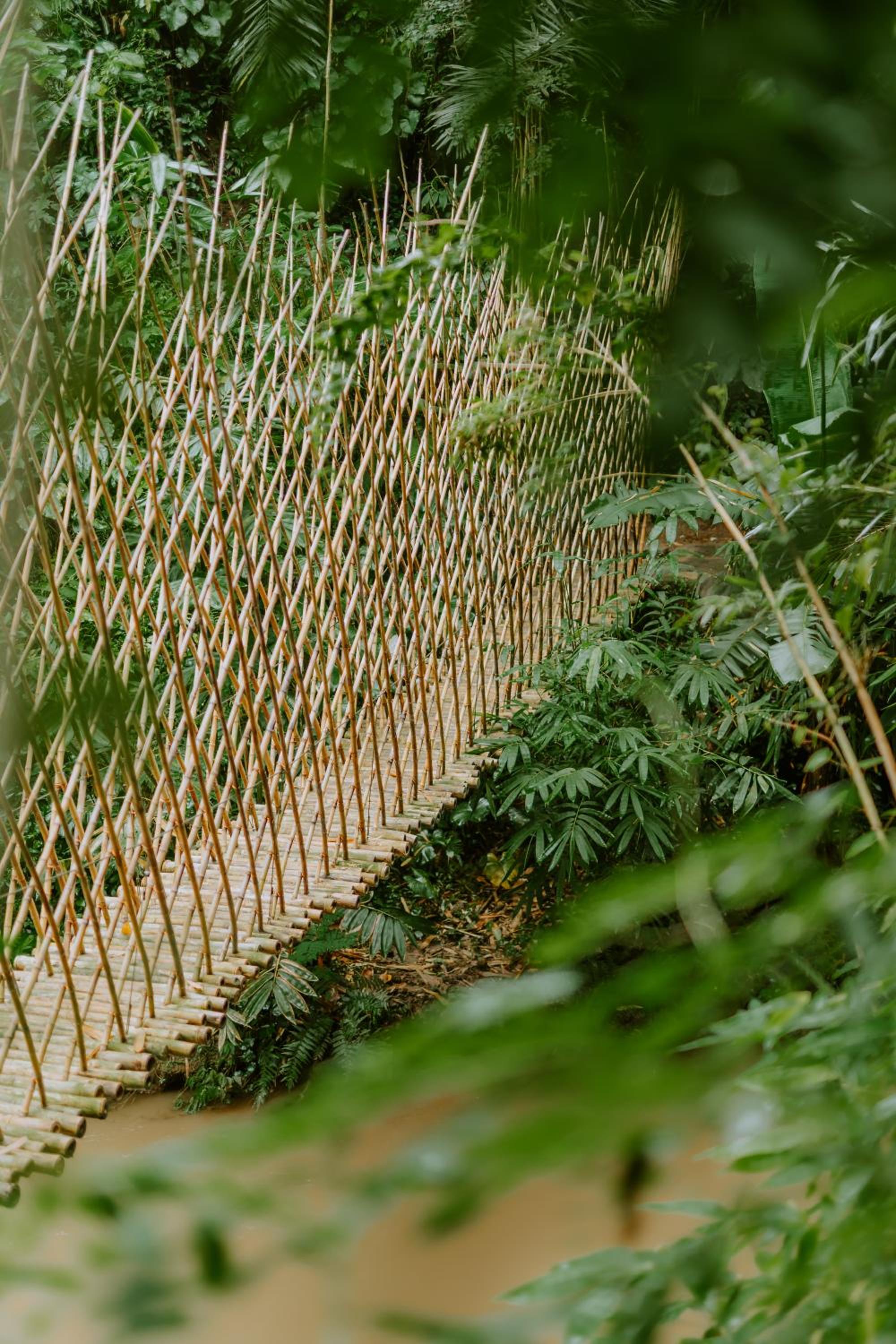 Bambu Indah 12