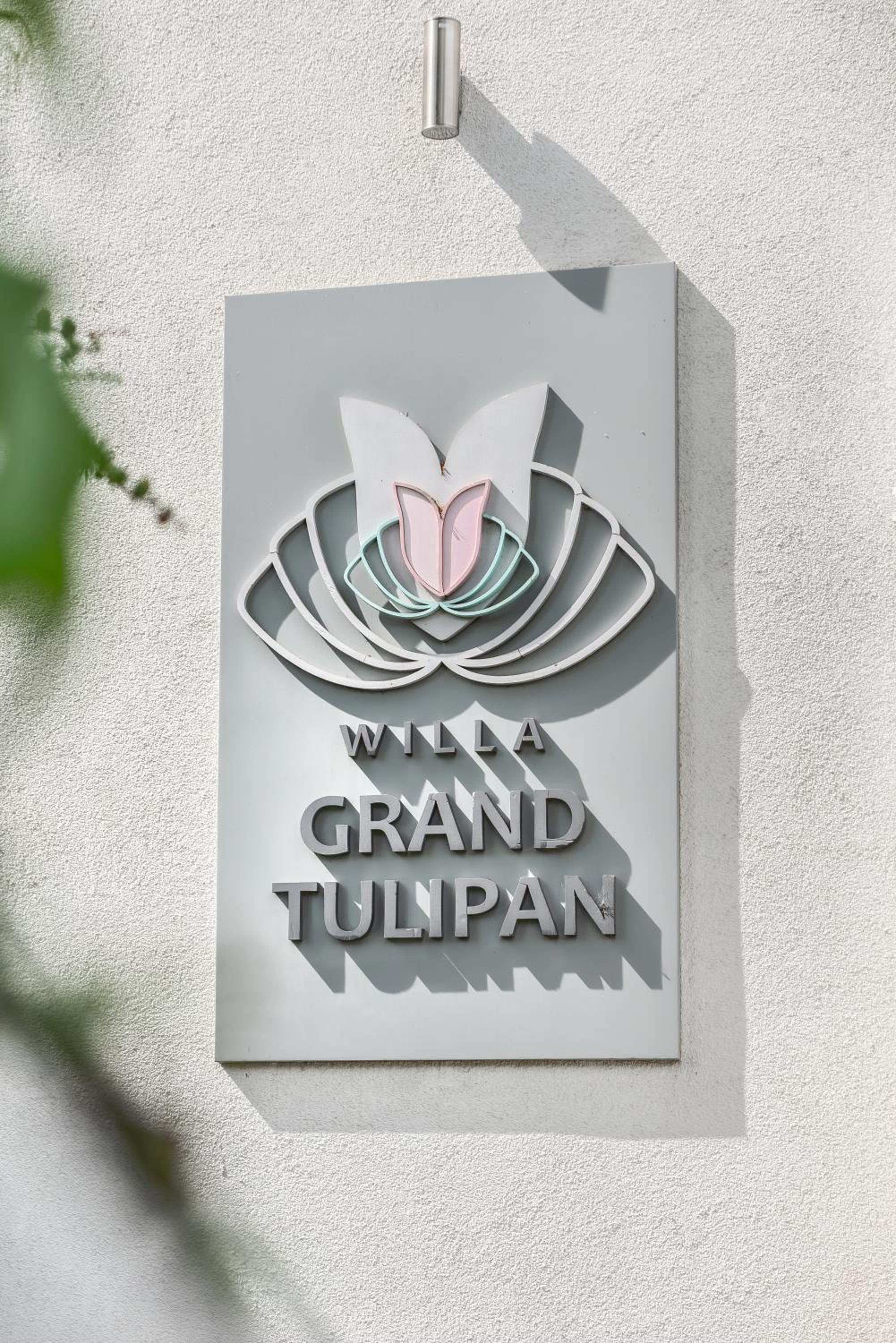 Grand Tulipan, photo 65